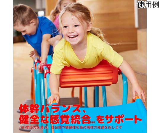 60-2997-22 ミニパルクール・メガセット 理学療法士監修 229100