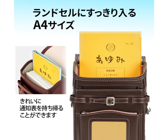 60-3187-23 通知表ホルダー 6ポケット YL 79824 【AXEL】 アズワン