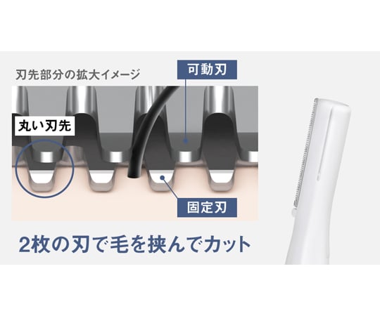 パナソニック、フェリエフェイス用グレーです。 dショッピング |シェーバー パナソニック フェイスシェーバー【眉