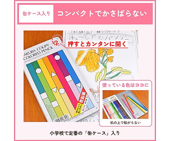 60-3270-88 ク-ピ-色鉛筆12色（スタンダ-ド） PFY12 【AXEL