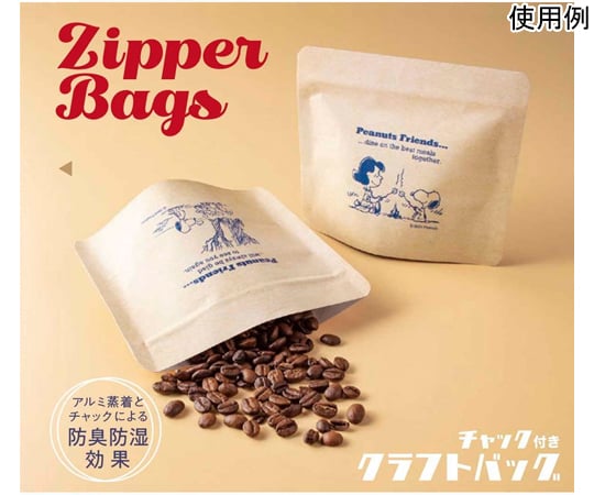 60-3824-55 スヌーピー コレッショ チャック付きクラフトバッグ