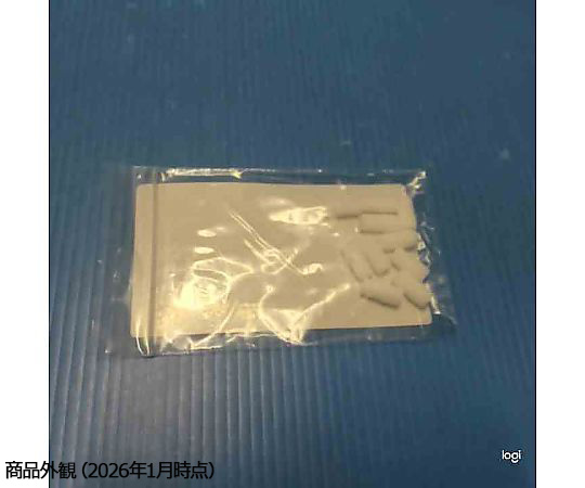 60-3869-61 Nichipet NPX3-1000用 ノズルフィルター 10個入 00-NX3