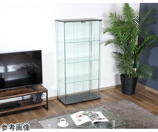 60-4105-65 ガラスディスプレイケース（クリア）TMG-G53-1 98882