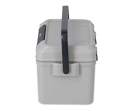 60-4184-18 SOUTHERNPORT クーラーボックス 4.7L GY 【AXEL】 アズワン