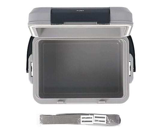 60-4184-18 SOUTHERNPORT クーラーボックス 4.7L GY 【AXEL】 アズワン