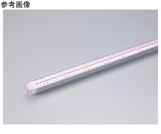 DNライティング CLED2F-243VL30 LEDモジュール DNライティング CLED2F-243VL30 LEDモジュール DNライティング CLED2F