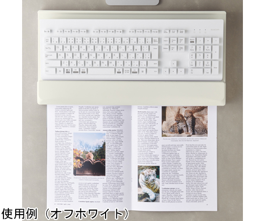 60-6251-87 キーボードスタンド オフホワイト A252-1 【AXEL】 アズワン