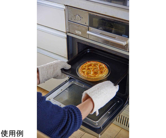 60-7211-67 パイ皿 20cm 耐熱ガラス HPZ-40-BK 【AXEL】 アズワン