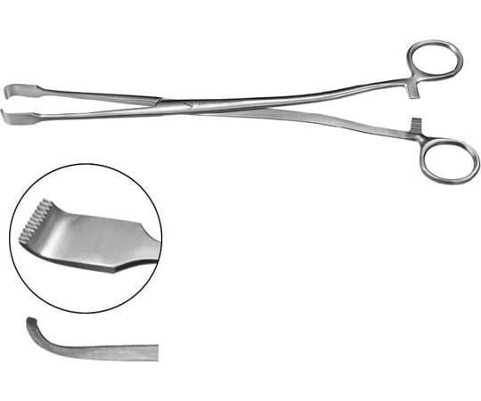 膣鏡（クスコ）の通販 【AXEL】 アズワン