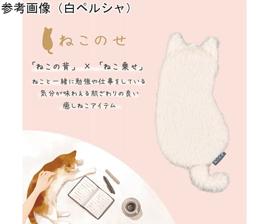 60-9035-62 ねこのせ マルチポーチS 黒ネコ NNS-MP01BK 【AXEL】 アズワン