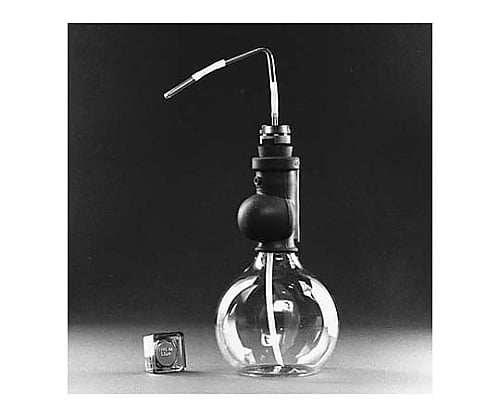 Filter Holder supt screen SS 1/Pk 1PK XX3002510