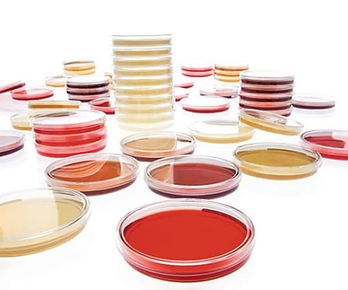 Sabouraud-Dextrose-Agar -LI acc.EP (20) 146028 20PACK