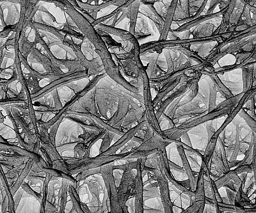 Thick absorbent pad disc 34mm 100/Pk 100PK