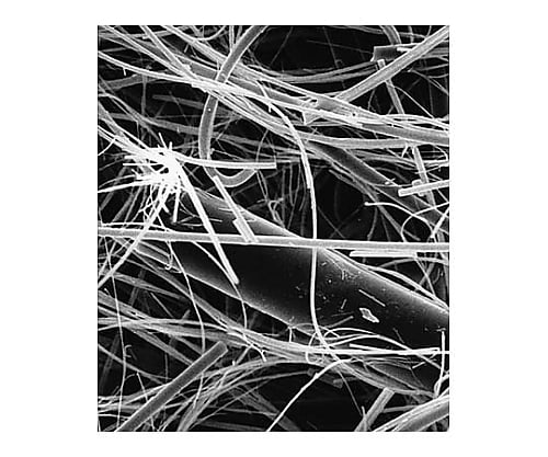 Glass fiber disc w/binder AP15 47mm 100/Pk 100PK