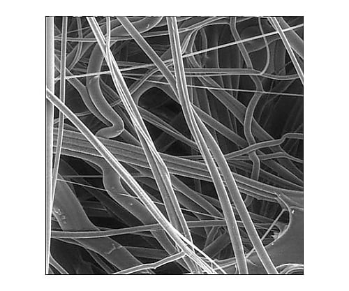 PP prefer disc hydrophobic 5.0μm 47mm 100/Pk 100PK