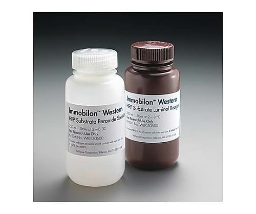 Immobilon Western Chemiluminescent HRP Substrate， 2×50mL 1SET 1箱（2個入） WBKLS0100