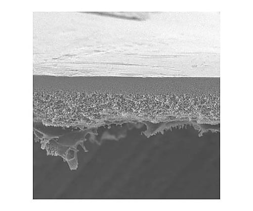 B10K 25MM HIGH FLUX 10PK 10PK