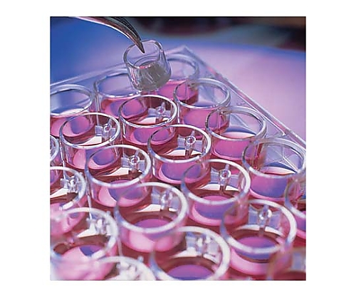 Millicell Cell Culture Insert 12mm HA MCE 0.45um 50/Pk 50PK PIHA01250