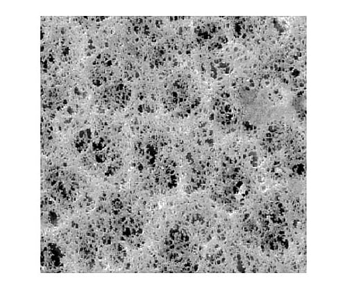 PVC membrane disc 5.0μm 47mm wh pln 100/Pk 100PK