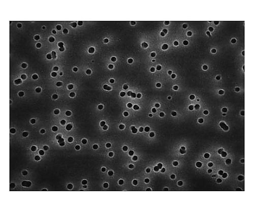 Isopore disc PC philic 3.0μm 47mm wh pln 100/Pk 100PK