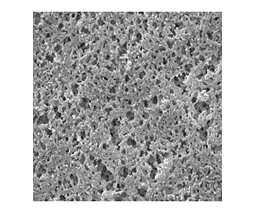 Nylon Membrane, Hydrophilic, 1.2 μm, 47 mm, white, plain; 100/Pk 100PK