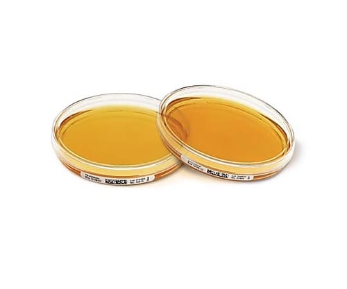 Tryptic Soy Agar ICR 30mL(120) 146001 120pcs