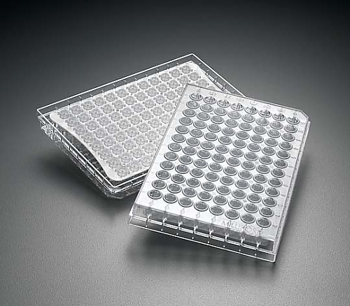 MultiScreen HTS HA 0.45um Clear Non-sterile 10/Pk 10PK MSHAN4510