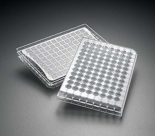 MultiScreen HTS HA 0.45um Clear Sterile 10/Pk 10PK MSHAS4510