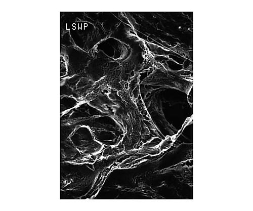 Mitex disc PTFE hydrophobic 10μm 47mm wh grd 100/Pk 100PK