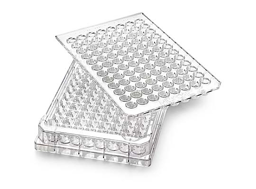 Multiscreen Nylon 20μm with receiver trays NS 10/pk 10PK