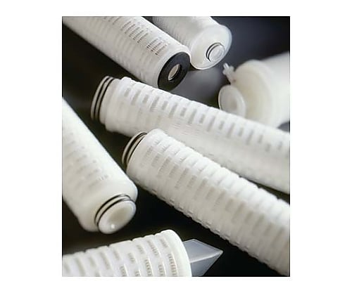 Polygard-CN Cart Filt 20in. 1.2μm Code 0 EP 6/Pk 6×1ST