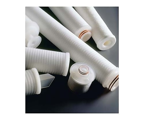 Polygard-CR Cart Filt 10in. 1.0μm Code 0 Silicone 6/Pk 6×1ST