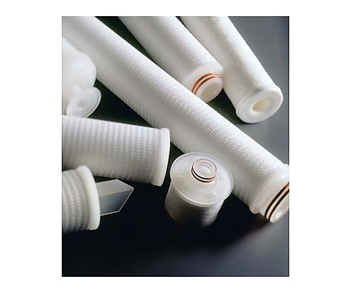 Polygard-CR Cart Filt 10in. 3.0μm Code 0 Silicone 6/Pk 6×1ST