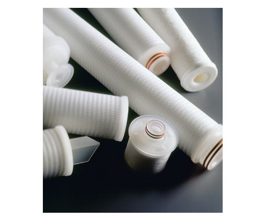 Polygard-CR Cart Filt 10in. 0.5μm Code 0 PTFE-EV 6/Pk 6×1ST