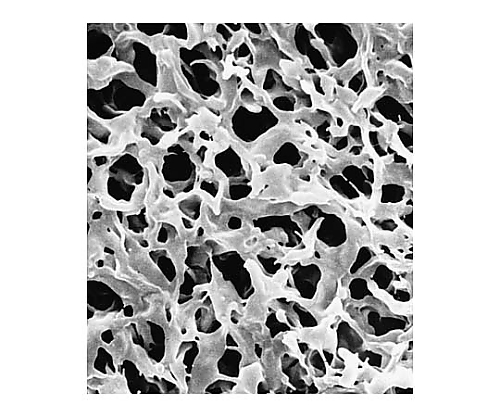 Durapore disc PVDF philic 0.22μm 293mm wh pln 25/Pk 25×1ST
