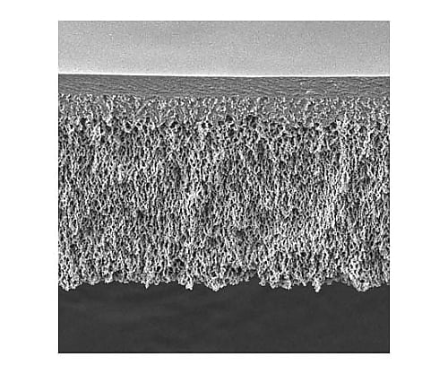 UF Discs PLAC Ultracel RC 1kDa 47mm 10/Pk 10PK