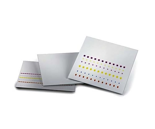 TLCプラスチックシート 酸化アルミニウム60 F254 中性 25 枚, 20×20cm 105581 1ST