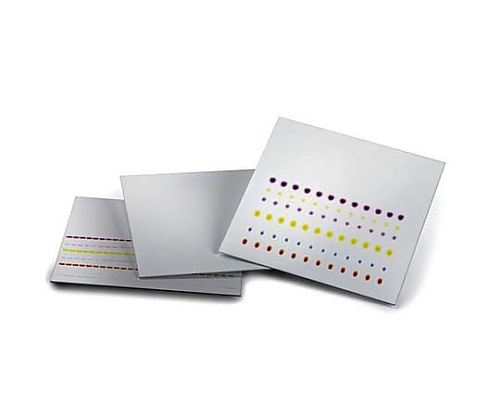 TLCガラスプレート 酸化アルミニウム60 F254 25 枚, 20×20cm 105713 1ST