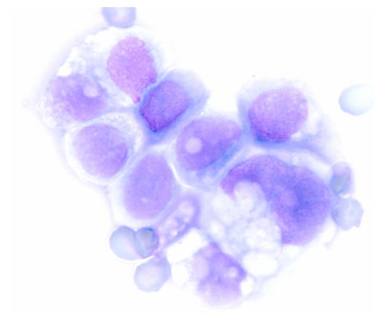 ヘマカラー(R) 溶液3 青色液 Hemacolor(R) 111957 2.5L