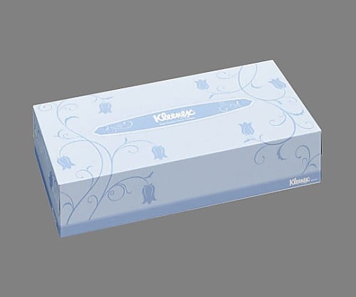 クリネックスティシュー　レギュラー　２枚重ね　２１４×２２２ｍｍ　１００組×６０箱
