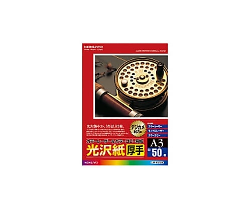 61-0520-45 カラーレーザー＆カラーコピー用紙 光沢紙・厚手 ５０枚入 Ａ３ LBP-FG1330