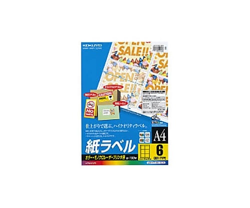 61-0527-04 ＬＢＰ用紙ラベル（カラー＆モノクロ対応） Ａ４ １００枚入 ６面カット LBP-F7166-100N