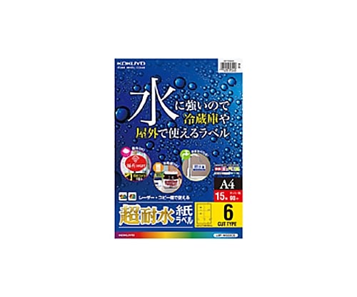 コクヨ61-0528-99超耐水紙ラベルＬＢＰ－ＷＳ６９０６【1袋(15枚入)】(as1-61-0528-99)