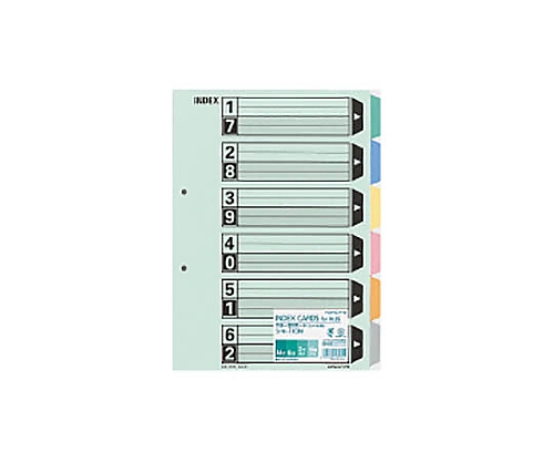 61-0549-88 カラー仕切カード（ファイル用） Ａ４縦 ６山＋扉紙 ２穴 １０組入 シキ-110N