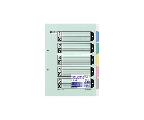 61-0549-99 カラー仕切カード（ファイル用） Ａ４縦 ５山＋扉紙 ２穴 １０組入 シキ-60