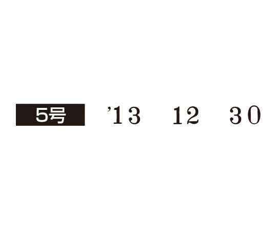 回転印欧文日付 飛日付5号 小切手用 明朝体　IS-KD5