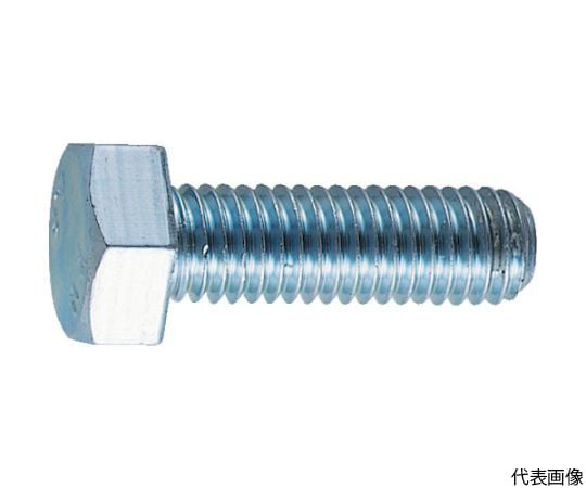 六角ボルト ユニクロ 全ネジ M10×25 21本入