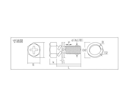 組込ボルト アブセットP-3 三価白 M6×15 21本入　B768-0615