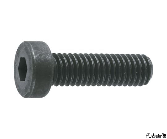 低頭六角穴付ボルト 黒染め全ネジ M3×16 17本入