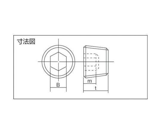 プラグ（沈み 3/4 SUS316L 生地 【50本】 :A01257108060000000